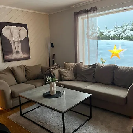 Cozy With A Lovely View