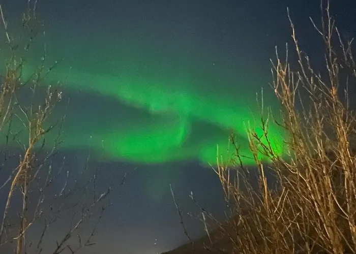 Cozy With A Lovely View *